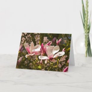 Cartão Magnolia Greeting Card