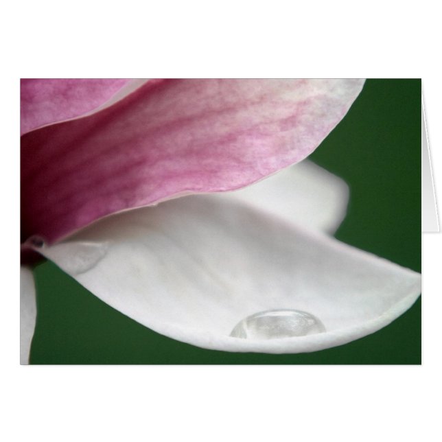 Cartão Magnolia Segurando Chuva (Frente Horizontal)