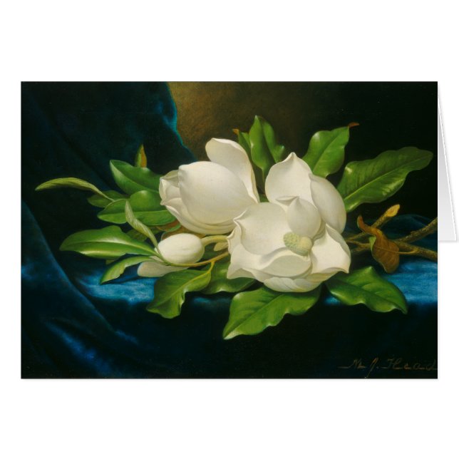 Cartão Magnolias gigantes em um pano azul veludo, c.1890  (Frente Horizontal)
