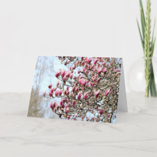 Cartão Magnolias rosa