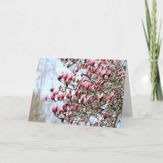 Cartão Magnolias rosa (Frente)