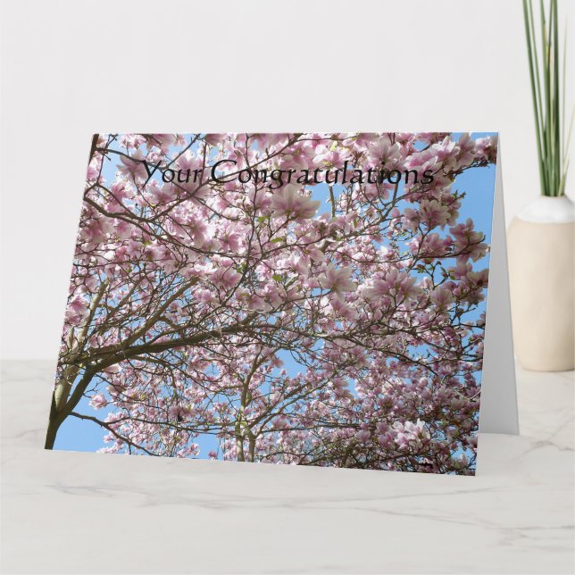 Cartão Magolia em abril (Frente)