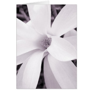 Cartão Magolia - Vertical