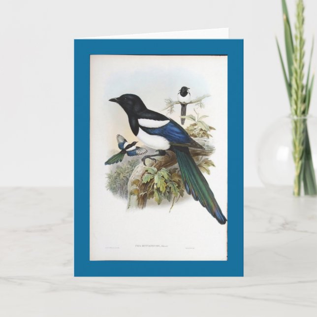Cartão Magpie de Gould - de Bootan (Frente)