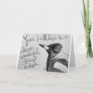Cartão Magpie Shiny, maravilhosa carta de aniversário
