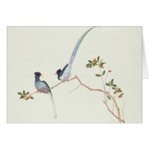 Cartão magpies azuis Vermelho-faturados, bagas de um