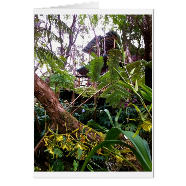 Cartão Mahinui Na Lani Treehouse (Frente)