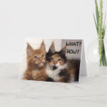 CARTÃO MAINE COON CATS SAY **21** WOW!!!!!<br><div class="desc">THESE TWO MAINE COON CATS ARE SO CUTE SO THEY ARE ON A FEW OF MY CARDS HERE AT OverWhatHill with different verses and of course DIFFERENT AGES but YOU CAN CHANGE THE AGE IN SECONDS OR ANYTHING ON MY CARDS IF YOU WISH. THANKS FOR STOPPING BY ONE OF MY...</div>