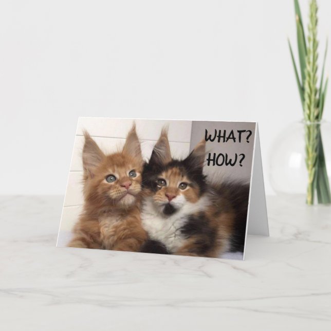 CARTÃO MAINE COON CATS SAY **30?** YOU? BIRTHDAY CARD (Frente)