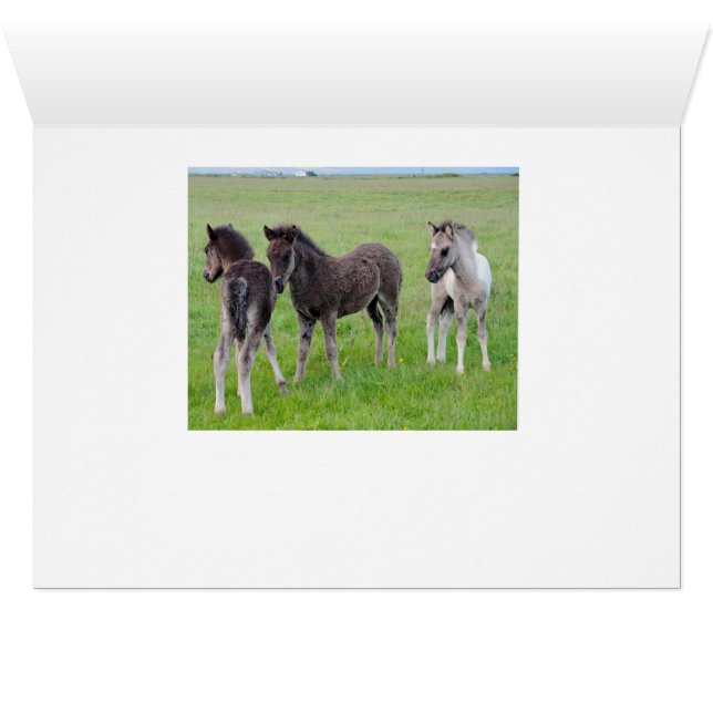 Cartão Mais cavalos abundante (horizontal) (Interior horizontal (base))