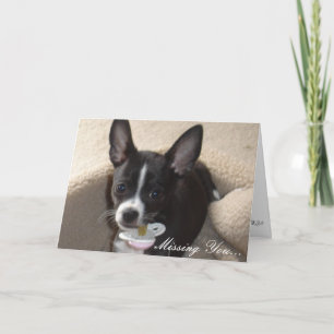 Cartão mais fotos 008, Sentido sua falta...