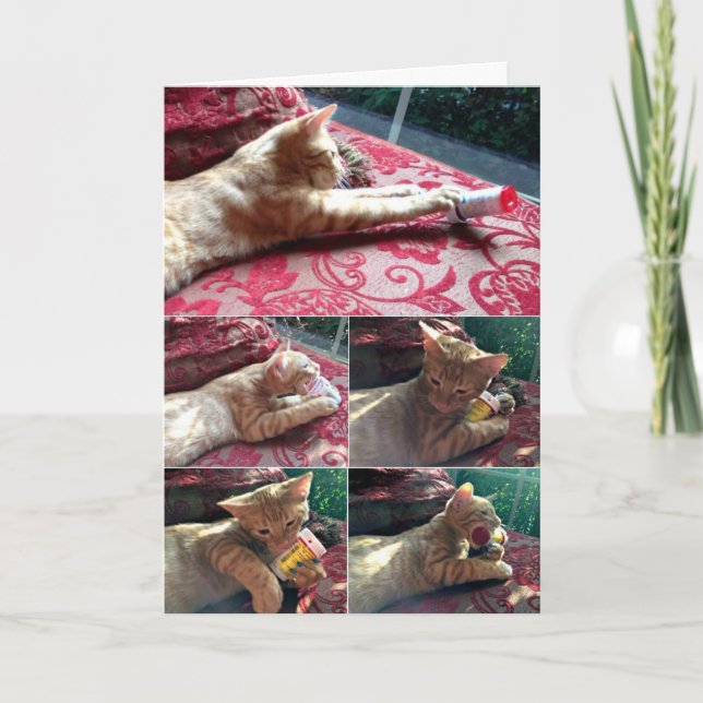 Cartão Mais medicamentos, por favor (Frente)