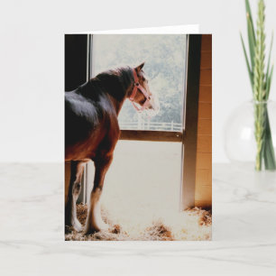 Cartão Majestic Clydesdale