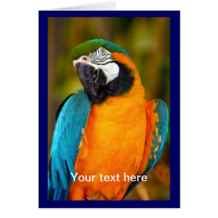 Cartão Majestpoderá Macaw