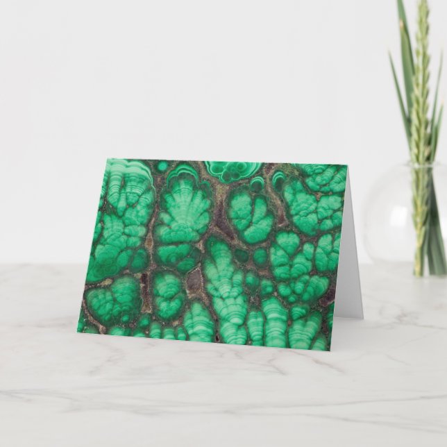 Cartão Malachite verde padrão (Frente)