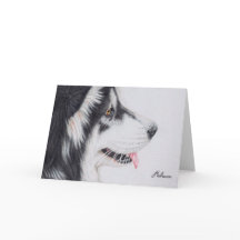 Malamute do Alasca de cabelos compridos