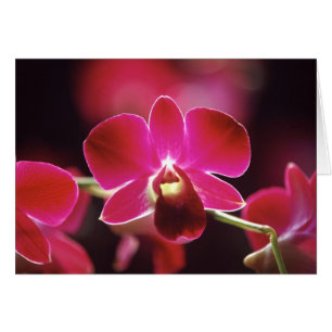 Cartão Malásia, Orquídea