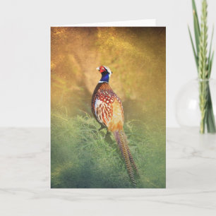 Cartão Male Pheasant Greetings Card