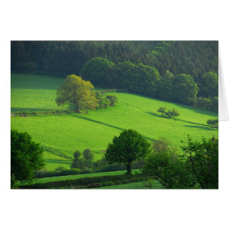 Cartão Malhas verdes