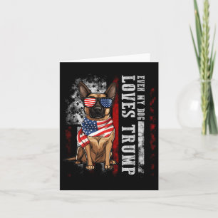 Cartão Malinois Belga Até o Meu Cão Ama Trump Engraçado