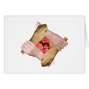 Cartão Malinois belgas