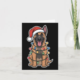 Cartão Malinois Belgas Embalados Em Luzes De Natal