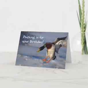 Cartão Mallard Duck Birthday Card