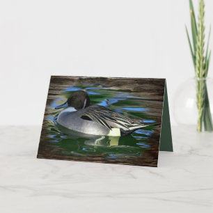 Cartão Mallard Duck No Lago
