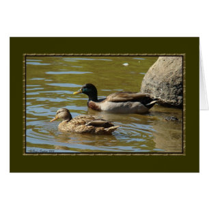 Cartão Mallard Duck Pair