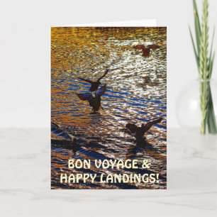 Cartão MALLARD DUCKS Landing Traveler Photo Greeting Card