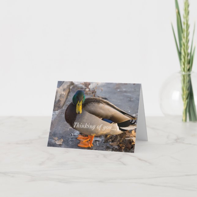 Cartão Mallard, Pensando No Seu Cartão. (Frente)