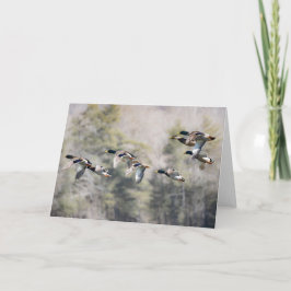 Cartão Mallards Voadores