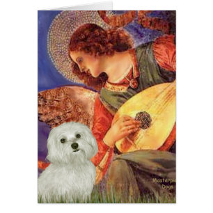 Cartão Maltês 11 - Mandolin Angel