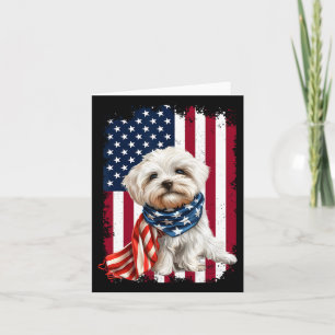 Cartão Maltês Cão Americano Bandeira 4 De Julho Cão Maltê