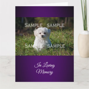 Cartão Maltese poodle in grass photo Personalize
