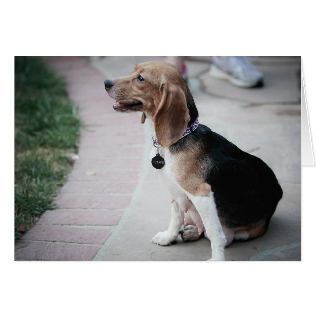 Cartão Mama Beagle (Frente Horizontal)