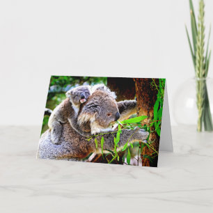 Cartão Mama Koala e Baby Joey numa Árvore,