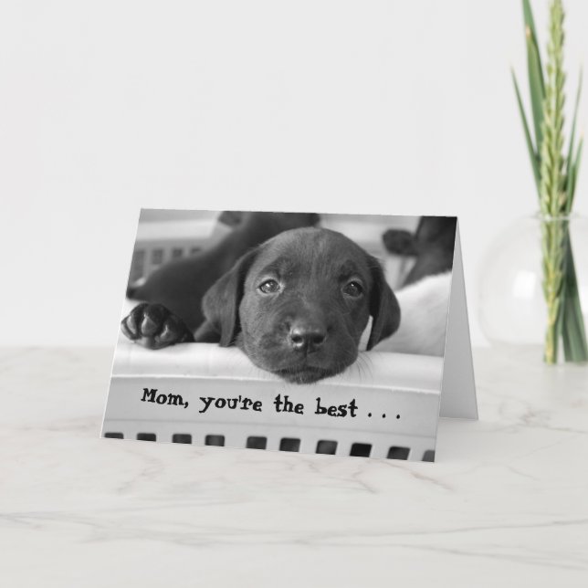 Cartão Mamã, você é o melhor… (Frente)