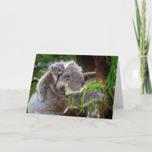 Cartão Mamãe e Baby Koalas