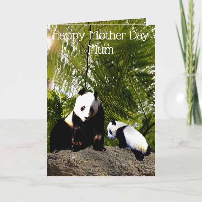 Cartão Mamãe E Bebê Panda, Dia Da Mãe (Frente)