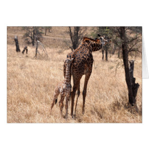 Cartão Mamães e mim