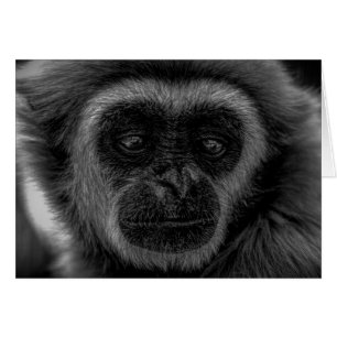 Cartão Mamífero da indonésia de Gibbon