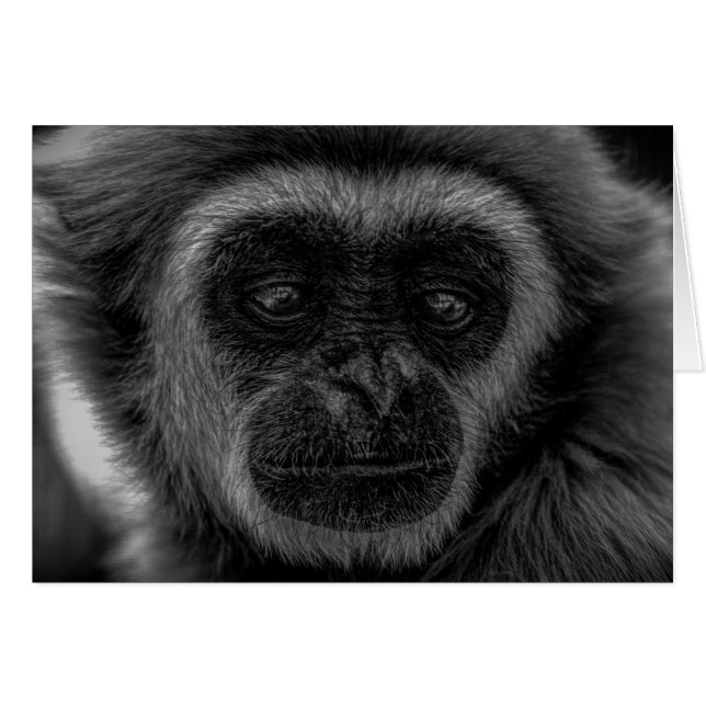 Cartão Mamífero da indonésia de Gibbon (Frente Horizontal)