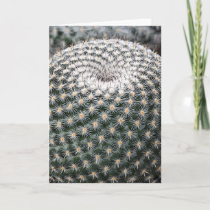 Cartão Mammillaria elegans notecard