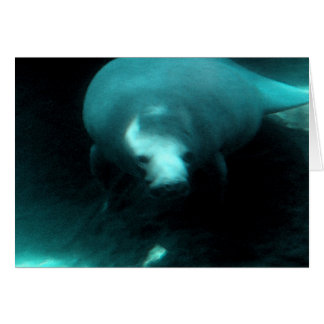 Cartão Manatee Dreams