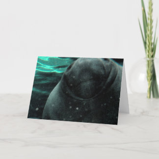 Cartão Manatee Kiss