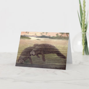 Cartão Manatis ou Vacas Marinhas Antigas, Mamíferos Marin