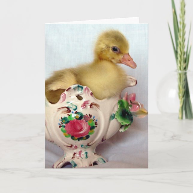 Cartão Manchas (Frente)