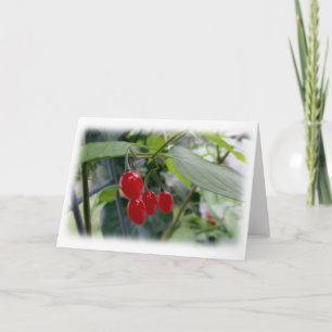 Cartão Manchas vermelhas do outono