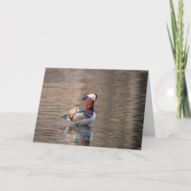 Cartão Mandarin Duck (Frente)